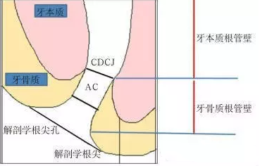 QQ图片20160620095743.png